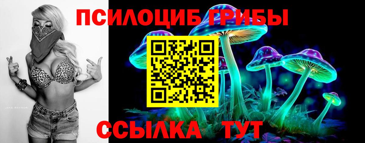 Великие Луки  Галлюциногенные грибы Magic Shrooms  Вход с VPN  Псилоцибиновые грибы прущие грибы 
